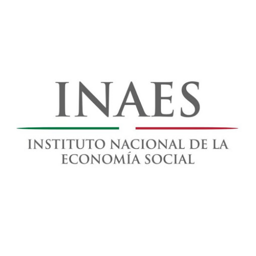 inaes